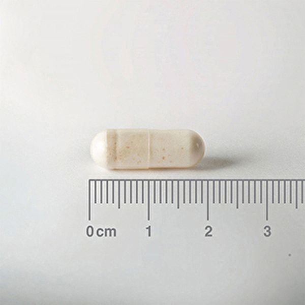 Acidophilus Extra 10 60 Capsule - LAMBERTS Img 4