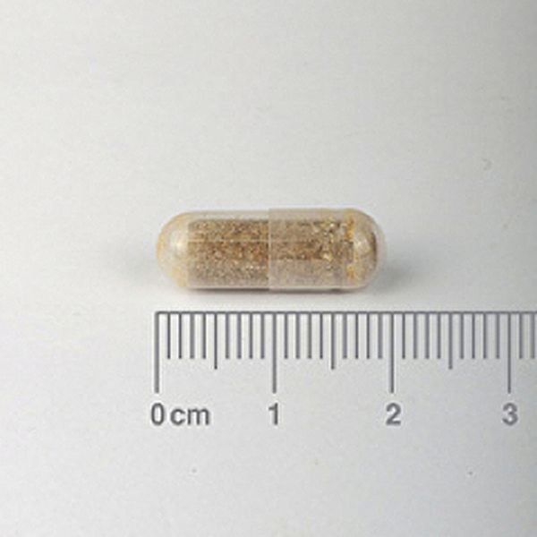 Ashwagandha 6000 mg 60 Cápsulas - LAMBERTS Img 4