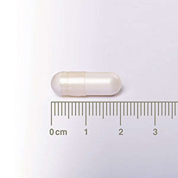 Neurologico 60 capsule - LAMBERTS Img 4