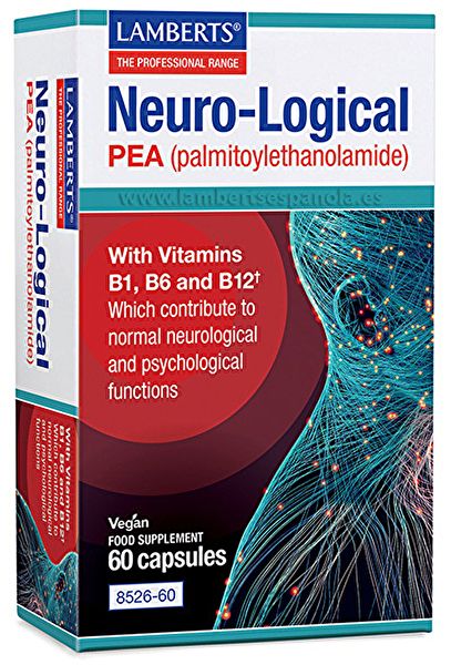 Neurologisch 60 capsules - LAMBERTS