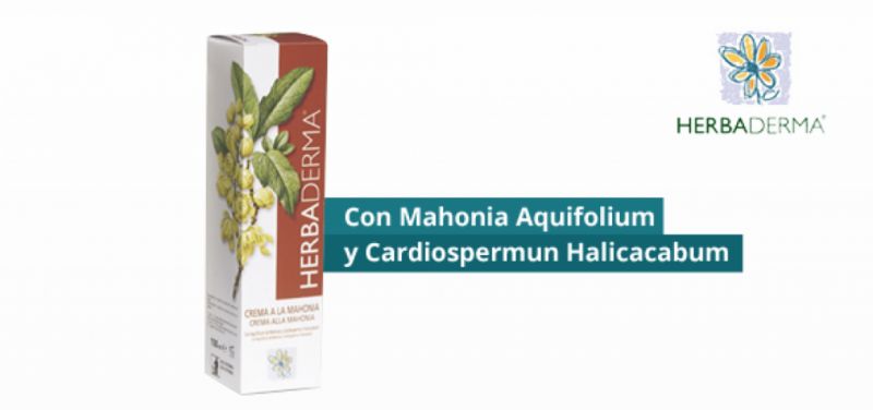 HERBADERMA MAHONIA OHNE PARABENE 100 ml - NOEFAR