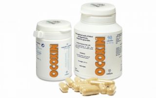 Comprar CATALYSIS Ocoxin 300 mg 90 Cápsulas Por 71,40€