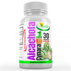 Buy EL VALLE ARTICHOKE 30 CAPSULES By 12,00€