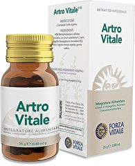 Acheter FORZA VITALE ARTRO VITALE 25 gr Par 33,07€