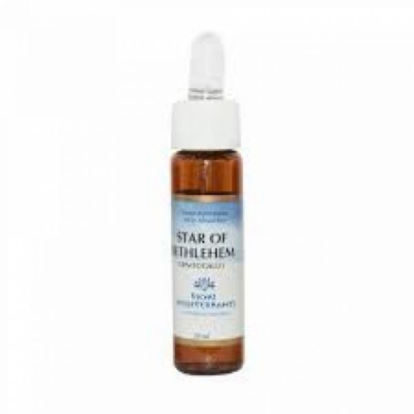 Fiori Mediterranei Stella Di Betlemme 10 ml