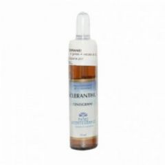 Comprare FORZA VITALE Fiori Mediterranei Castagna Bianca 10 ml Di 14,60€