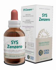 Kopen FORZA VITALE Sys Zenzero (Gember) 50 ml Door 17,92€