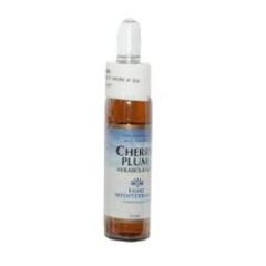 Comprare FORZA VITALE Fiori Mediterranei Ciliegia Prugna 10 ml Di 14,60€