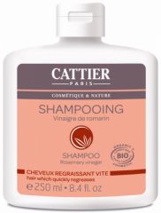 Buy CATTIER Rosemary Vinegar BIO Shampoo 250 ml By 9,55€