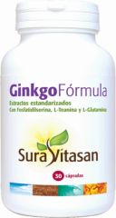 Comprar SURA VITASAN GINKGO FORMULA 30 Caps Por 35,20€