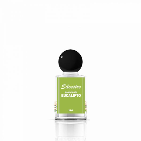 Essence d'eucalyptus 14 ml - SILVESTRE