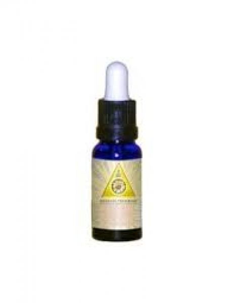 ABROTANO LEICHT 15 ml - TRIUNIDAD