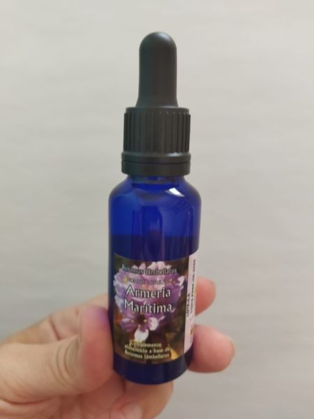 ARMERIA MARITIMA LUZ 15 ml - TRIUNIDAD