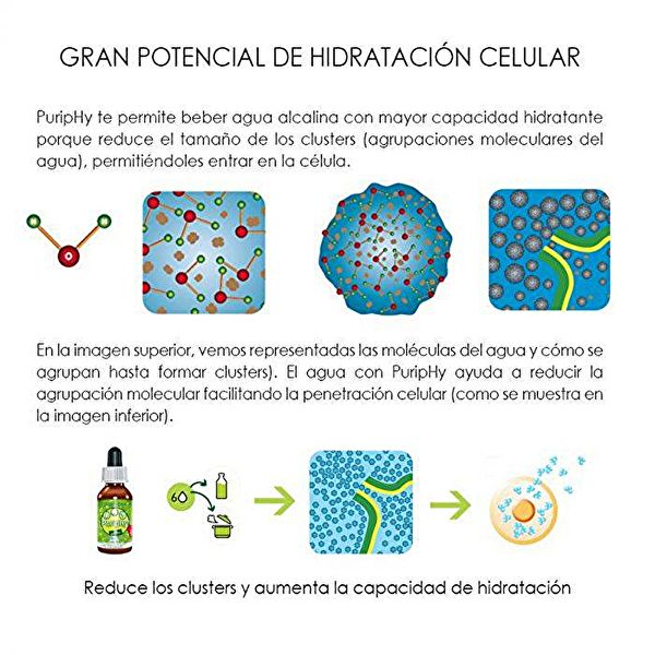 Puriphy gotas para alcalinizar 60 ml Img 6