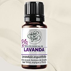 Buy HERBES DEL MOLI Lavender Officinalis Eco Essential Oil 10 ml By 10,54€