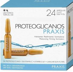 Comprar PRAXIS PRAXIS PROTEOGLICAN BOX 24UD Por 39,15€