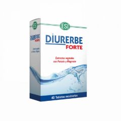 Acheter TREPATDIET DIURERBE FORTE 40 Comprimés Par 23,95€