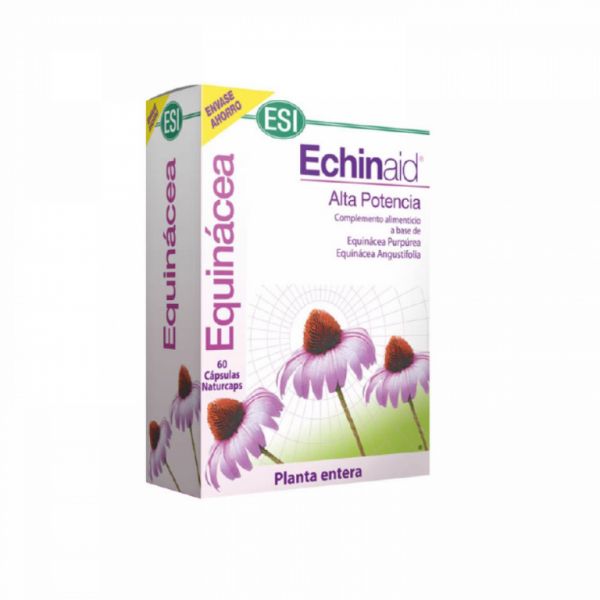 ECHINAID 60 doppen - TREPATDIET