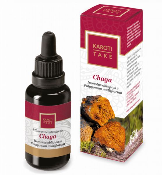 Karoti - Nehmen Sie Chaga 30 ml - HIRANYAGARBA