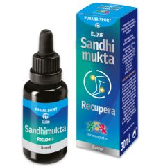 Comprar HIRANYAGARBA Purana Sandhimukta Por 46,90€