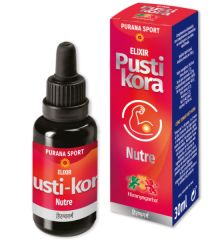 Comprar HIRANYAGARBA PURANA PUSTI-KORA  Consultar Precio