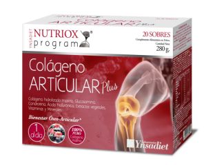 Comprare YNSADIET Zentrum Articular Collagen 20 buste Di 28,80€