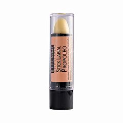 Comprar YNSADIET Bálsamo Labial Própolis 4 g Por 4,95€