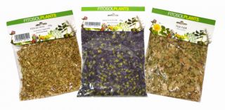 Comprar YNSADIET Alcachofera 40 g Por 1,30€