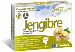 Buy YNSADIET ZENTRUM GINGER 30 Caps By 6,90€