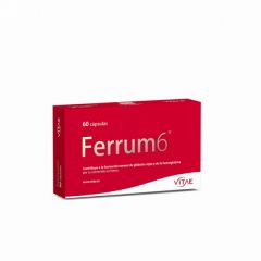 Buy VITAE FERRUM 6 60 CAPS By 25,50€