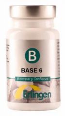 Buy ERLINGEN Base 6 60 Tablets By 27,95€