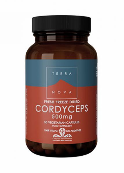 CORDICEPS 500 mg (CORDYCEPS SINENSIS)  50 Vcaps