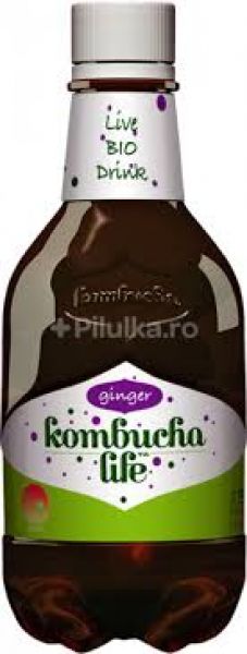 Kombucha Chá de Gengibre Verde 330ml - KOMBUCHA L