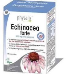 Kopen PHYSALIS ECHINACEA FORTE 30 Comp Door 18,00€