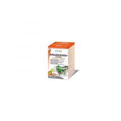 Buy PHYSALIS JOINTS + INFUSION 20 sachets By 4,95€