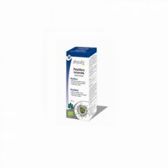 köpa PHYSALIS PASSINBLOMMA INCARNATA 100 ml Förbi 14,00€