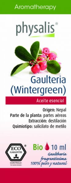 GAULTERIA VERT D'HIVER 10 ml - PHYSALIS