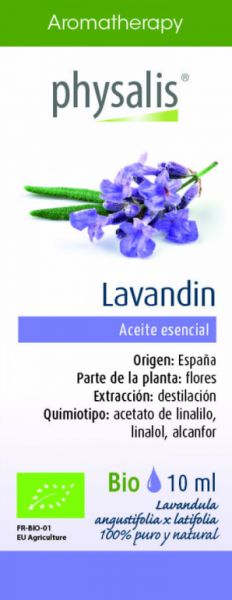 LAVANDA 10 ml - PHYSALIS