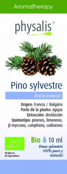 BIO WILD PINE 10 ml - PHYSALIS