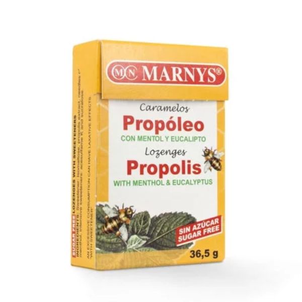 Sugar-Free Menthol Eucalyptus Propolis Candy Box 36.5 g