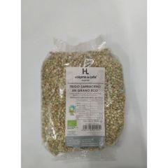 Comprar HORNO DE LEÑA Blat sarraí en gra ECO 500 grams Des de Des de 4,77€