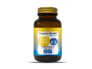 Buy PLAMECA VITAMIN D3+K2 60 Caps By 15,95€