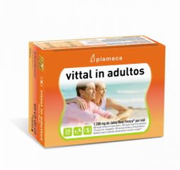 Buy PLAMECA VITTAL IN ADULTS 20 Vials By 26,35€