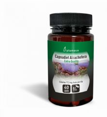 Comprar PLAMECA CAPSUDIET ALCACHOFERA 40 Caps Por 9,95€