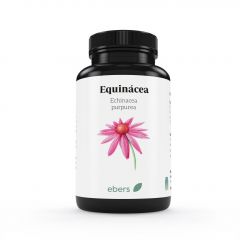 Buy EBERS Echinacea 500 mg 60 Tablets By 8,20€