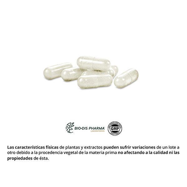 Chetoni di lampone 300 mg 60 Capsule - OBIRE Img 4