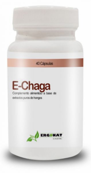 E - Chaga 40 Cápsulas - ERGONAT