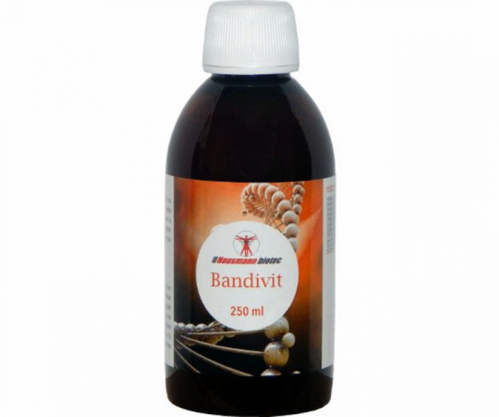 Bandivit Jarabe 250 ml - HAUSMANN B