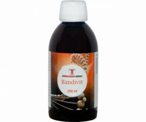 Buy HAUSMANN B Bandivit Syrup 250 ml By 22,35€