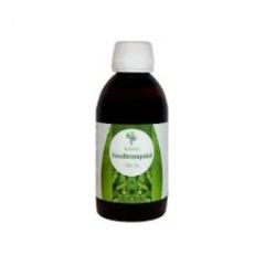 Kopen BOTANIA Neobronchiol Forte 250 ml Siroop Door 21,05€